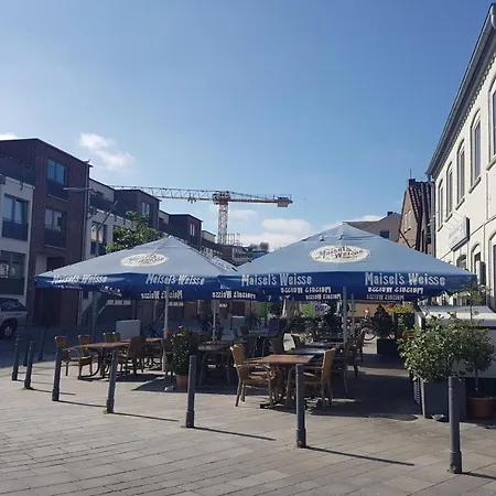 Lachmoewe * Eckernförde